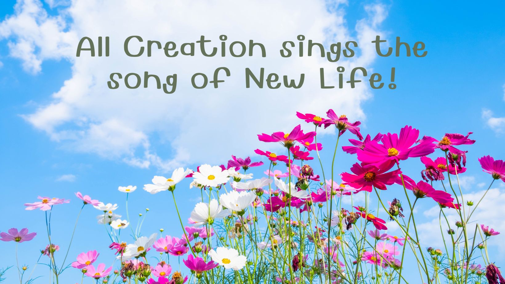 All-Creation-sings-the-song-of-New-Life